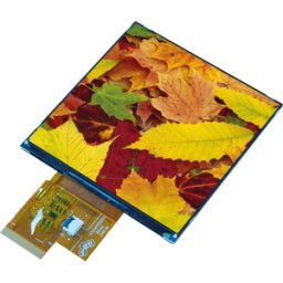 DISPLAY VISIONS EA TFT040-77AINN - Pantalla TFT 4,0", 720x702 puntos, SPI
