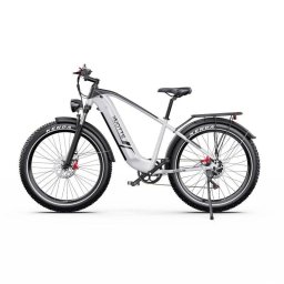 Bicicleta eléctrica DUOTTS F26 Lite Motor 500 W Batería 48 V 18 Ah neumáticos 26" freno hidráulico plata blanco