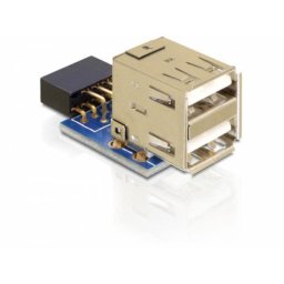 Adaptador DeLOCK 1 x 9-pin 2.54 mm a 2 x USB 2.0-A Negro, Azul, Plata