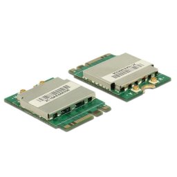 Tarjeta de red DeLOCK 95254 M.2 Wi-Fi 5 433,3 Mbit/s WLAN Bluetooth 4.0