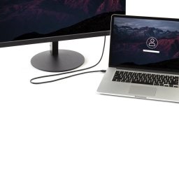 Cable Adaptador Mini DisplayPort a DisplayPort 3 m StarTech.com 4K UHD