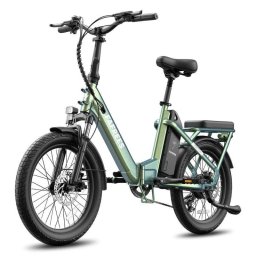 Bicicleta Eléctrica Plegable Fafrees F20 Flex 250W 36V 20Ah Verde Morado