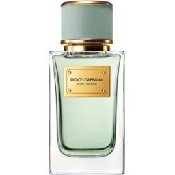 Dolce & Gabbana Dolce & Gabbana - Eau de Parfum Velvet Infusion 100 ml Dolce & Gabbana.