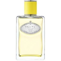 PRADA BEAUTY Eau de Parfum Infusion d'Ylang 100 ml .