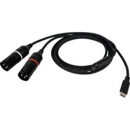 DAP-Audio FL115 USB-C to 2x XLR/M 1.5m Negro
