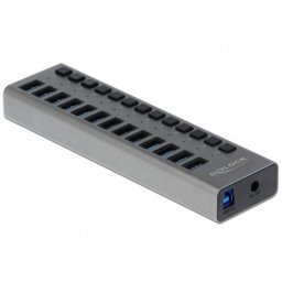 Hub DeLOCK 13 puertos USB 3.2 Gen 1 5 Gbps con interruptores individuales