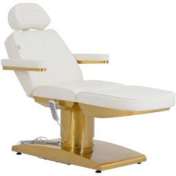physa Camilla de estética eléctrica - 3 motores - 300 W - 195 x 60 x 62 - 82 cm - 200 kg - blanca/dorada 10040821