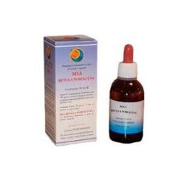 Herboplanet Msa Betula Pubencens 50 ml
