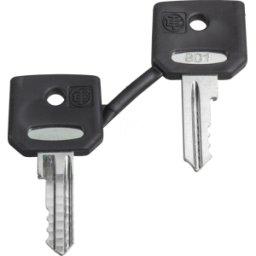 SCHNEIDER ELECTRIC ZBD8D1 - Llave de repuesto para interruptor de llave, 8D1, 2 ud.