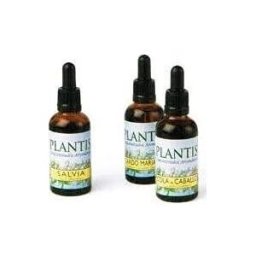 Plantis Ginkgo 50 ml