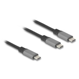 Cable USB-C DeLock 81271 1,2 m Y Power Delivery 100W Negro Gris