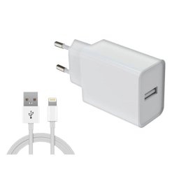 Cargador DLH DY-AU5091W Interior USB-A 12W 5V 2,4A 1m Blanco