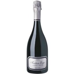 Tantum Ergo Cava Brut Nature 2022 Valencia.
