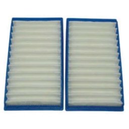 Pack de 2 Filtros Hepa Aspirador DYSON modelo DC02