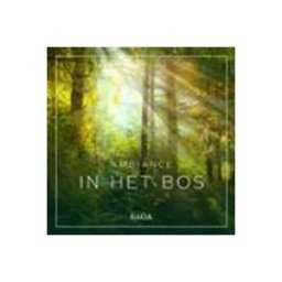 Ambiance – In het Bos