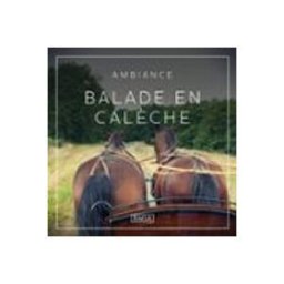 Ambiance – Balade en calèche
