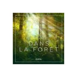 Ambiance – Dans la forêt