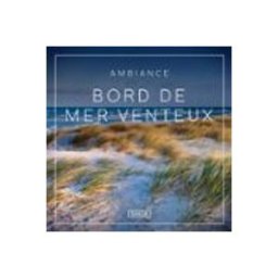 Ambiance – Bord de mer venteux