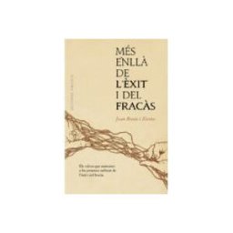 Disbook S.l. Més enllà de l´èxit i del fracàs