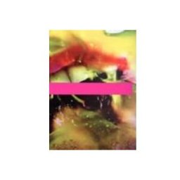 Distriforma S.l. marilyn minter