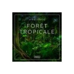 Ambiance – Forêt tropicale