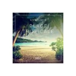 Ambiance – Plage tropicale