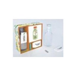 Logista Libros S.l. Kit Smoothies. La solución antioxidante