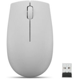 Lenovo Ratón 300 Compact Wireless Arctic Grey