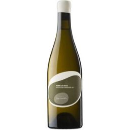 Pepe Raventos Pepe Raventós Xarello Vinya del Noguer 2024 - Vino blanco español de calidad premium