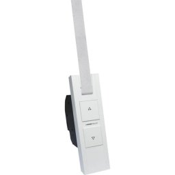 Central domótica Homepilot RolloTron pure smart radio compatible DuoFern