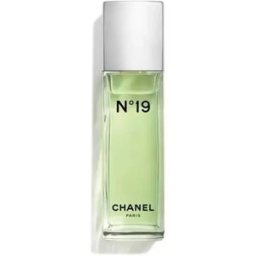 Chanel N 19 Perfume 100 ml