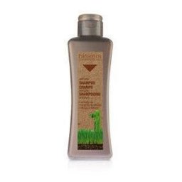 Salerm Argan Champú Biokera Natural 300 ml 300 ml