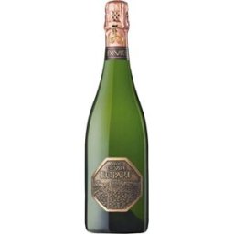 Llopart Ex Vite Brut 2017 - Vino espumoso elegante de España con delicadas burbujas