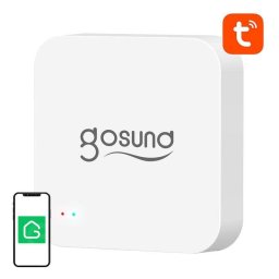 Central domótica Gosund G2 Bluetooth/Wi-Fi compatible Alexa y Google Assistant