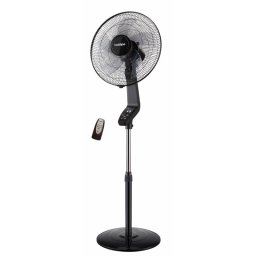 Bastilipo - Ventilador De Pie Con Mando A Distancia, 50w, Base Redonda, Gama Premium, Modelo Coin Black