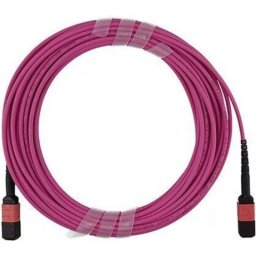 Cable de fibra óptica BlueOptics Multimodo OM4 MPO/MPO 12 fibras 2 m