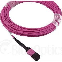 Cable de fibra óptica BlueOptics MPO/MPO OM4 12 fibras 5 metros