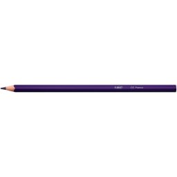 Lápices de colores BIC Color Up 24 piezas multicolor
