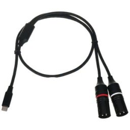 DAP-Audio FL115 USB-C to 2x XLR/M 0.75m Negro
