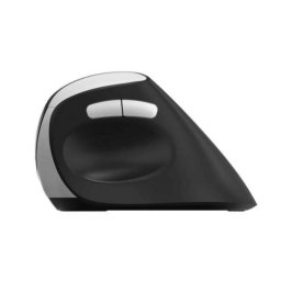 Ratón Rapoo EV250 RF inalámbrico 1600 DPI Negro Plata mano derecha