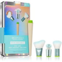 EcoTools Brochas Intercambiables 5 piezas