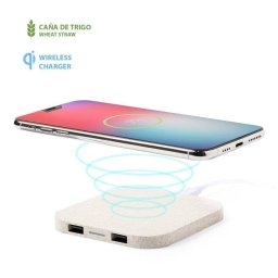 Cargador inalámbrico Dam Electronics Riens con doble salida USB 2100 mAh