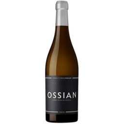 Vino Ossian 2023 de España - Blanco seco con 13,5% de graduación