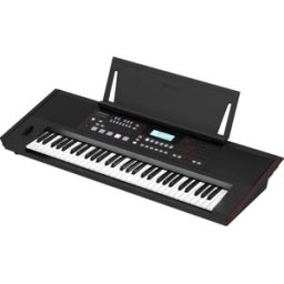 Roland E-X50 Teclado con Acompañamientos 689 Sonidos + 300 Ritmos + Entrada Micrófono + Bluetooth Audio