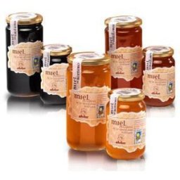 Arnauda Miel Eucaliptus Bio 500 gr