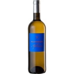 Vino Blanco Quinta Apolonia de Belondrade 2025 - 13,50% - España