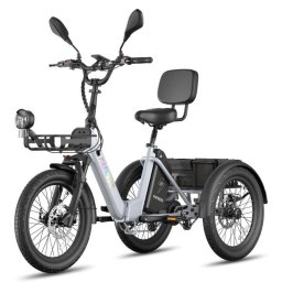 Bicicleta Eléctrica Fafrees F20 Mate II 250W 20" Gris Plateado