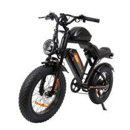 Bicicleta eléctrica JKING Fxh-002 Pro 1000W 48V Dual 20"x4,0