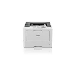 Brother HL-L5210DN impresora laser monocromo