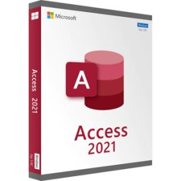 Microsoft Access 2021 (Windows)